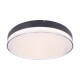 PLAFON SEKKO C0218 MaxLight